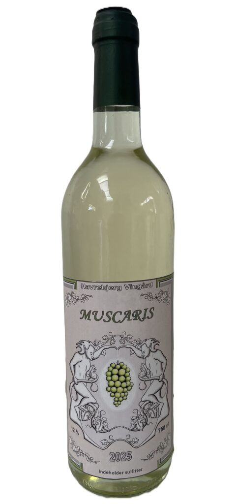 Muscaris 2