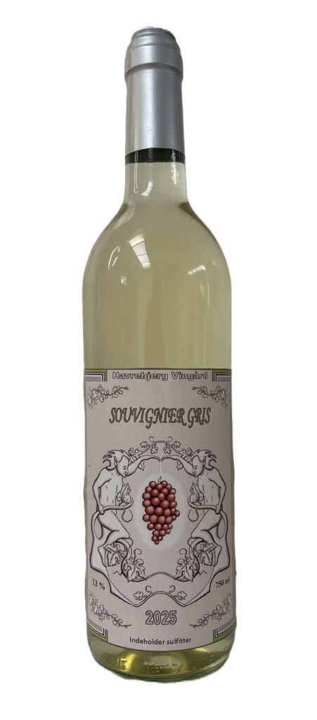 Souvignier Gris 2
